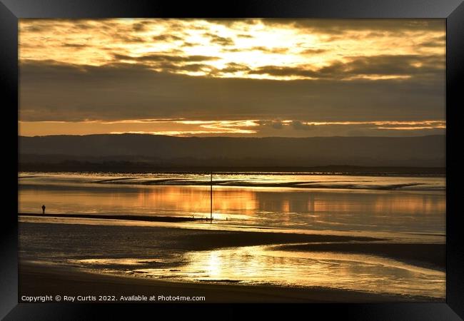 Liquid Gold Framed Print by Roy Curtis