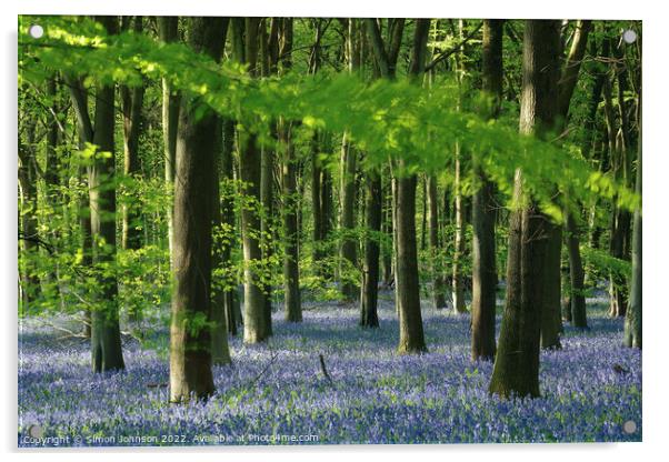 Bluebell Wood Acrylic by Simon Johnson
