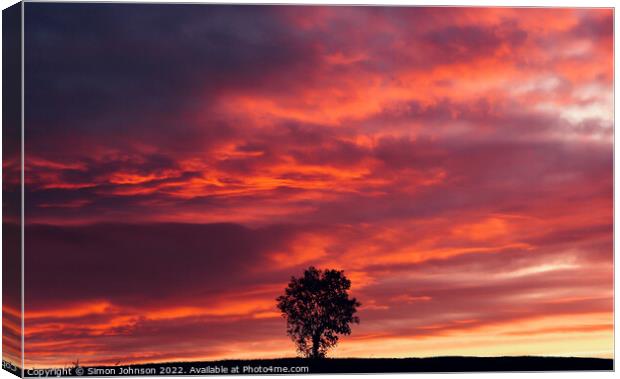 isolated tree at sunset  Canvas Print by Simon Johnson