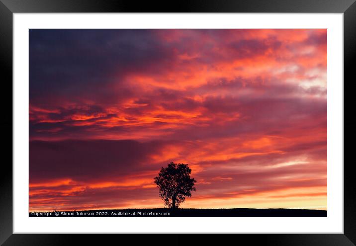 isolated tree at sunset  Framed Mounted Print by Simon Johnson