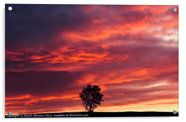 isolated tree at sunset  Acrylic by Simon Johnson