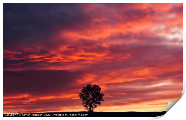 isolated tree at sunset  Print by Simon Johnson