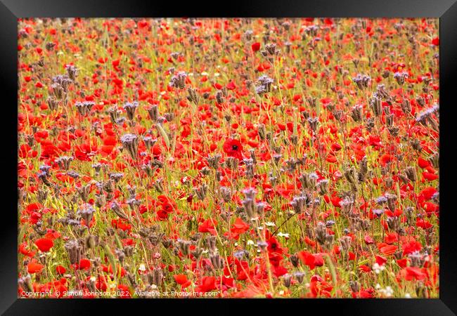 impressionist poppies Framed Print by Simon Johnson