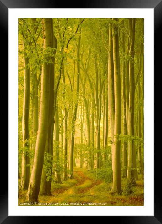 Through the woods Framed Mounted Print by Simon Johnson