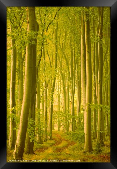 Through the woods Framed Print by Simon Johnson