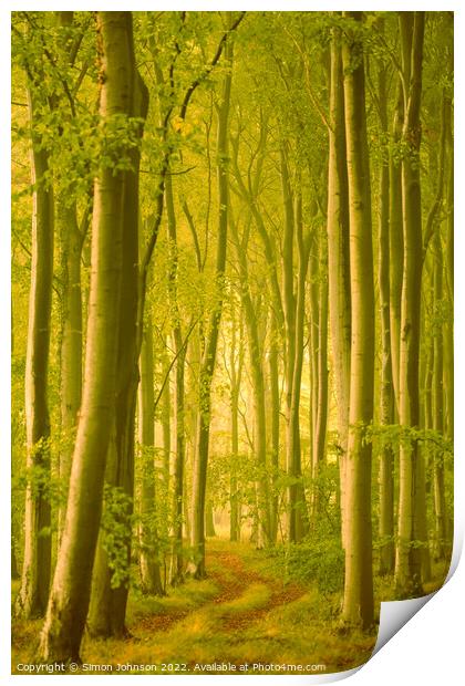 Through the woods Print by Simon Johnson