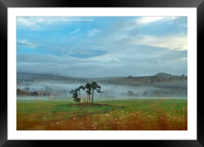 Misty View Framed Mounted Print by Hazel Powell