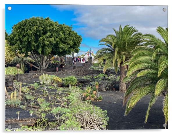 The Jardín de Cactus is a cactus garden on the island of Lanzarote i Acrylic by Holly Burgess