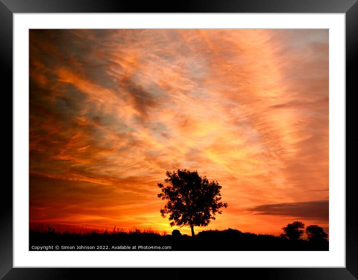 isolated tree at sunrise Framed Mounted Print by Simon Johnson