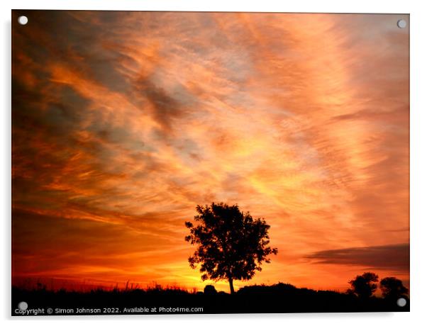 isolated tree at sunrise Acrylic by Simon Johnson