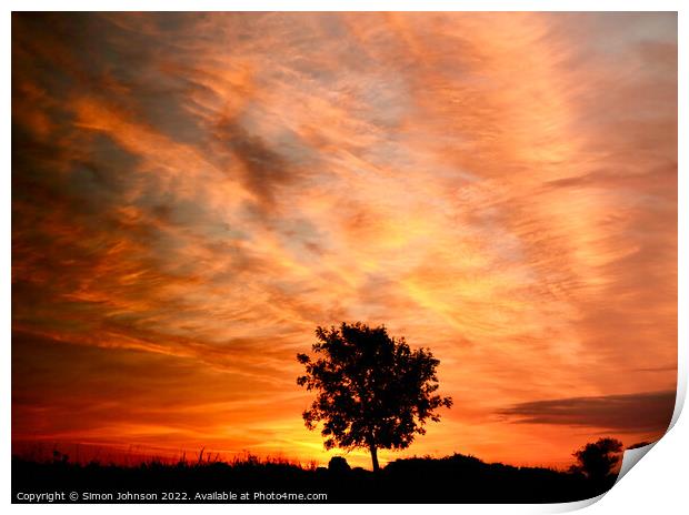 isolated tree at sunrise Print by Simon Johnson