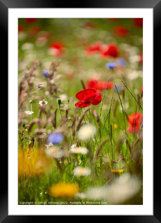 Meadow  flowers Framed Mounted Print by Simon Johnson