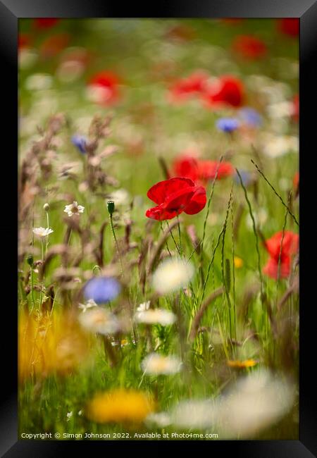 Meadow  flowers Framed Print by Simon Johnson