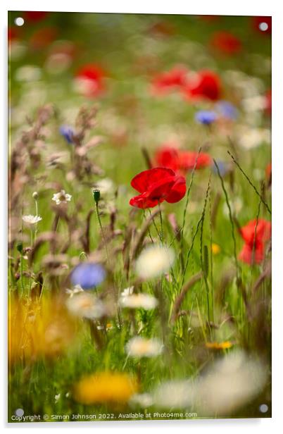 Meadow  flowers Acrylic by Simon Johnson