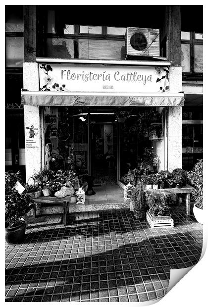 Floristería Cattleya Barcelona  Print by Glen Allen