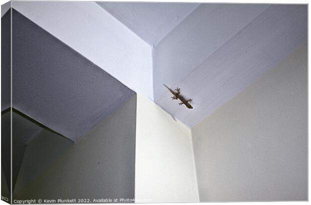 Gecko's Room Canvas Print by Kevin Plunkett
