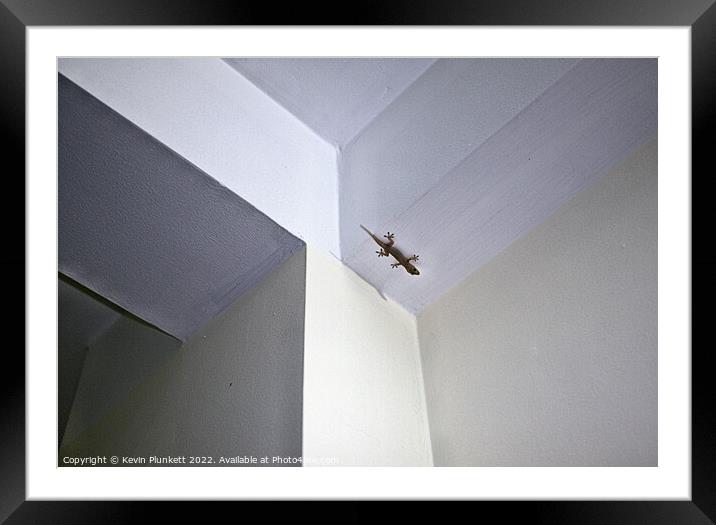 Gecko's Room Framed Mounted Print by Kevin Plunkett