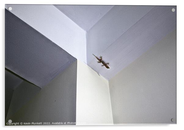 Gecko's Room Acrylic by Kevin Plunkett