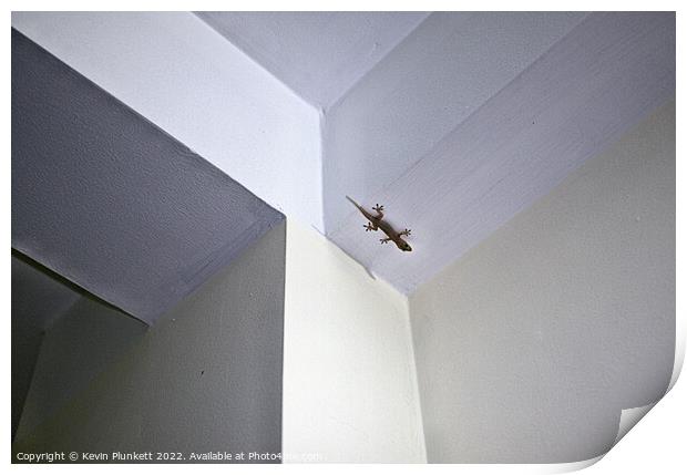 Gecko's Room Print by Kevin Plunkett