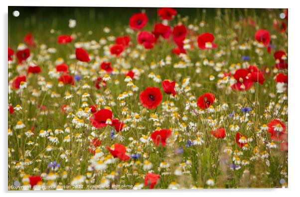 Poppy field Acrylic by Simon Johnson