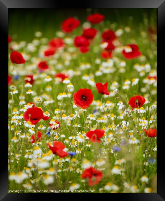 Poppy field Framed Print by Simon Johnson