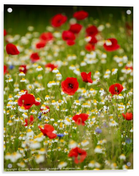 Poppy field Acrylic by Simon Johnson