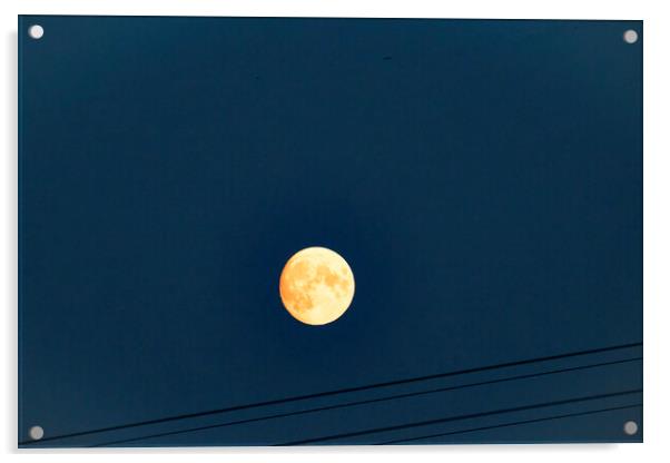 Moonrise Acrylic by Glen Allen