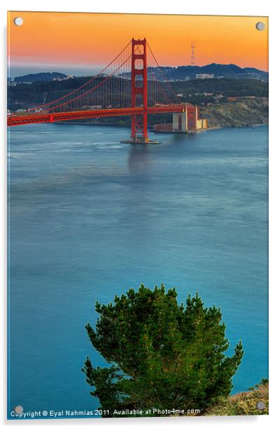 Golden Gate bridge Acrylic by Eyal Nahmias