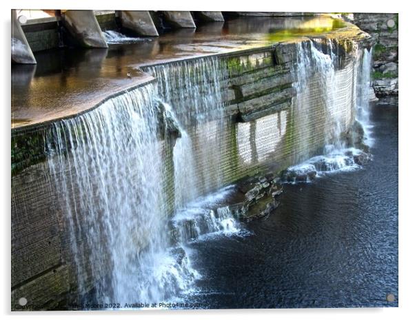 Rideau Falls Acrylic by Stephanie Moore