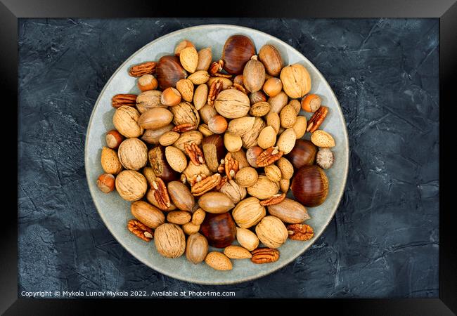 Assortment of nuts on a plate Framed Print by Mykola Lunov Mykola