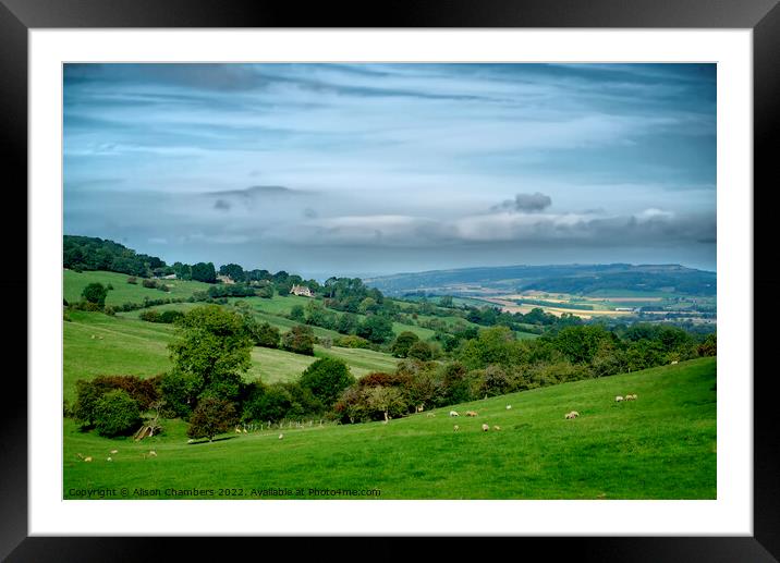Gloucestershire Cotswolds Landscape  Framed Mounted Print by Alison Chambers