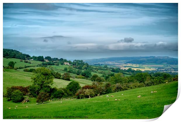 Gloucestershire Cotswolds Landscape  Print by Alison Chambers