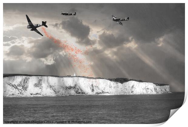 Dover Poppy Drop Colour Selection  Print by Alison Chambers