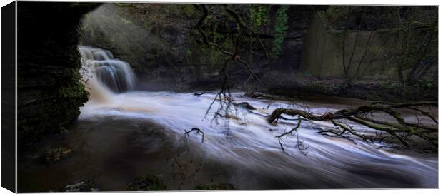 A fast flowing waterfall Canvas Print by Leighton Collins
