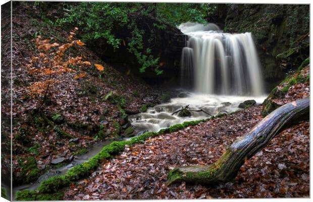 Longford waterfall Canvas Print by Leighton Collins