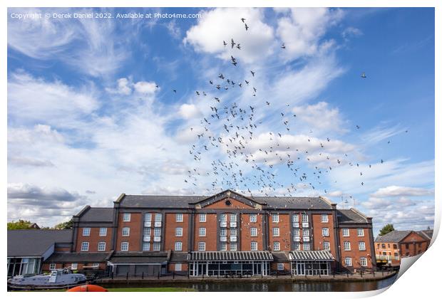 Majestic Seagulls Soaring Above Print by Derek Daniel