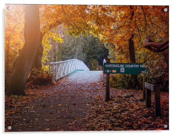 Hartsholme Park, Lincoln  Acrylic by Andrew Scott
