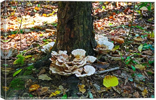Majestic Autumn Fungi Canvas Print by GJS Photography Artist