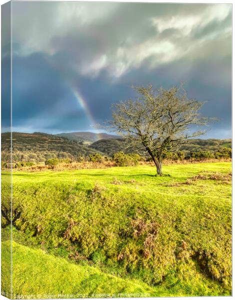 The Last Glimpse of a Dartmoor Rainbow Canvas Print by Roger Mechan