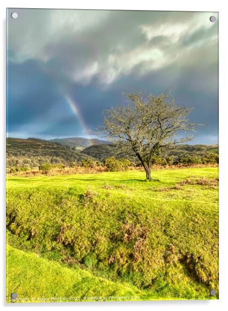 The Last Glimpse of a Dartmoor Rainbow Acrylic by Roger Mechan