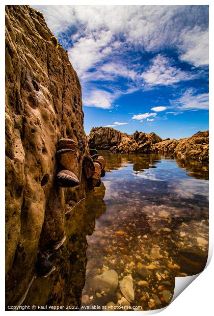 Mussel bound Print by Paul Pepper