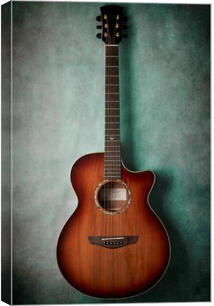 Acoustic Canvas Print by Richard Downs