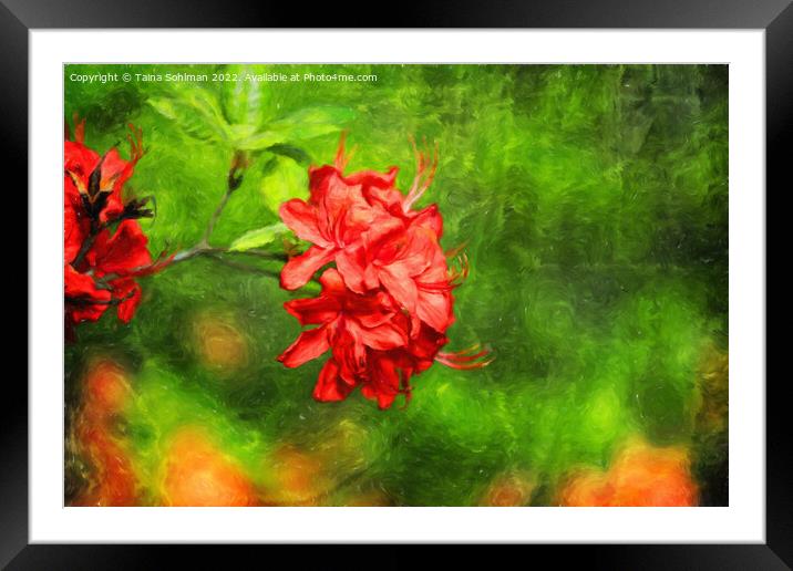 Red Rhododendron Flowers Digital Art Framed Mounted Print by Taina Sohlman