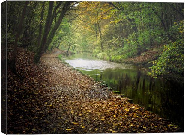 Eller Beck and Skipton Castle Woods Canvas Print by David Brookens