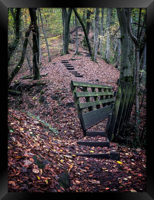 Autumn Stairway Framed Print by David Brookens