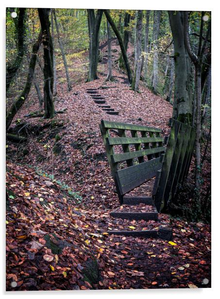 Autumn Stairway Acrylic by David Brookens