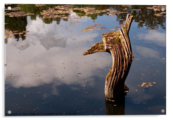 Tree Trunk in Lake Acrylic by Sally Wallis