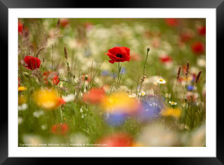 Poppies Framed Mounted Print by Simon Johnson