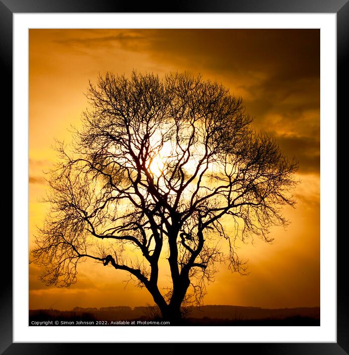  Tree silhouette Framed Mounted Print by Simon Johnson