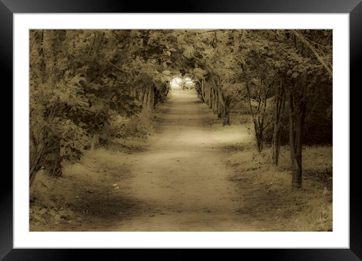 Country Walk Sepia Framed Mounted Print by Glen Allen